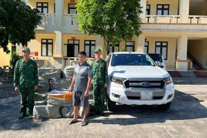 Quảng Ninh: Bắt giữ đối tượng vận chuyển khoảng 700kg nầm lợn đông lạnh không rõ nguồn gốc