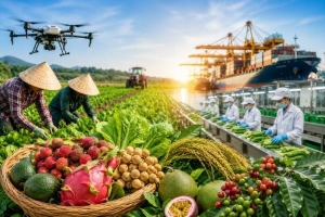 Quy định mới về điều kiện và mức hỗ trợ dự án sản xuất liên kết theo chuỗi giá trị