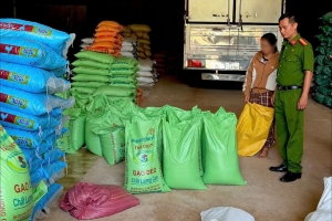 Gia Lai: Khởi tố cặp vợ chồng “phù phép” gạo rẻ tiền thành nhãn hiệu nổi tiếng