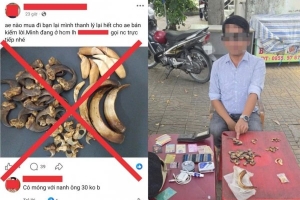 Cà Mau: Bắt quả tang đối tượng tàng trữ, rao bán trái phép móng, nanh động vật quý hiếm trên mạng xã hội