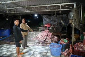 Công an TP Đồng Nai triệt phá đường dây tiêu thụ khoảng 400 tấn heo bệnh, heo chết