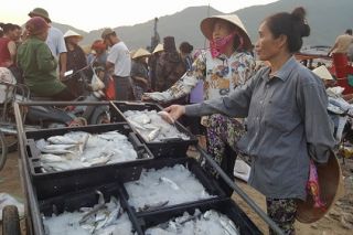 Khẩn trương hoàn thành bồi thường thiệt hại do sự cố môi trường biển