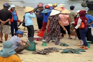 Người dân tỉnh Quảng Trị nhận tiền bồi thường sự cố môi trường biển đợt 2