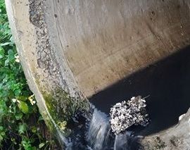 Cung cấp sai số liệu quan trắc chất thải bị phạt đến 100 triệu