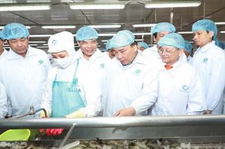 Thủ tướng thăm mô hình chế biến tôm xuất khẩu trước Hội nghị về phát triển ngành tôm Việt Nam
