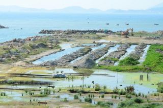 Dự án Nha Trang Sao: Đầu tư hay “đầu cơ đất”?
