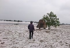Thừa Thiên Huế: Doanh nghiệp bỏ hoang dự án, dân “khát” đất sản xuất