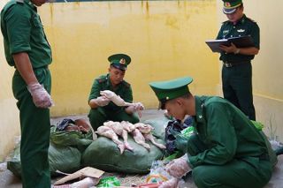 Lào Cai: Bắt giữ hơn 200 kg thực phẩm bẩn