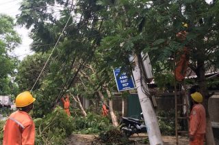 Nỗ lực cấp điện trở lại sau bão số 2 tại các tỉnh phía Bắc Trung Bộ