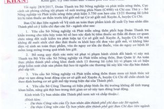 Vụ 3.750 con heo bị tiêm thuốc an thần - Bài 2: Phó chủ tịch thành phố yêu cầu xử phạt