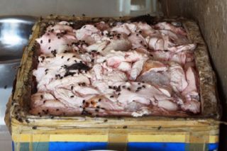 Bắc Ninh: Thu giữ gần 850 kg lòng lợn thối đang trên đường đi tiêu thụ