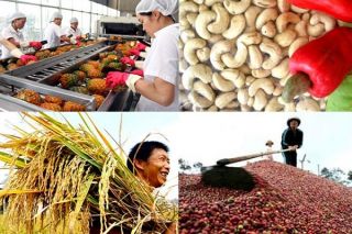 Khích lệ việc cạnh tranh lành mạnh của doanh nghiệp Việt Nam