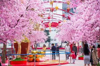 Ngỡ ngàng thấy Tết đã bên thềm cửa