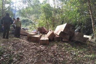 Đắk Lắk: Bắt giữ vụ vận chuyển gỗ quy mô lớn