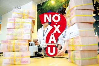 Thi hành án tín dụng, ngân hàng ở Lâm Đồng còn chậm