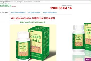 Công ty TNHH Thương mại và đầu tư Hoa Sen bị phạt 50 triệu đồng