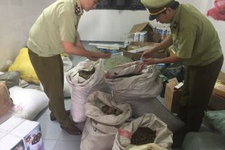 Bắt giữ hơn 700 kg dược liệu không rõ nguồn gốc tại Nghệ An