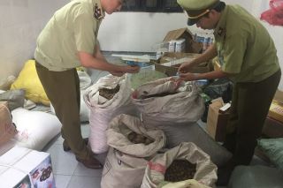 Thu giữ 735 kg dược liệu không rõ nguồn gốc tại Nghệ An