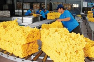 Cao su Phước Hòa báo lãi đạt 124 tỷ đồng trong quý II, tăng 69%