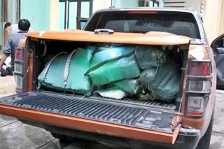 Quảng Bình: Truy nã đặc biệt bị can vận chuyển hơn 300 kg ma túy đá