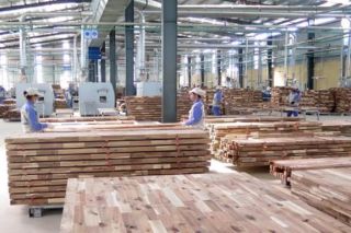 Từ 1/6/2019, đồ gỗ phải có 'lý lịch' rõ ràng mới được xuất khẩu sang EU