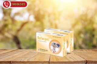 Đột quỵ và những điều bạn cần biết để bảo vệ sức khỏe