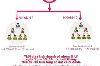 Cảnh báo công ty đa cấp ép buộc người xin việc nộp các khoản tiền lớn