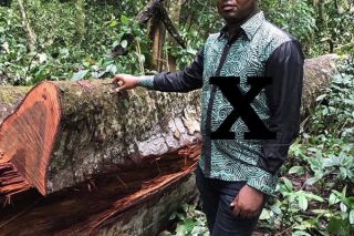 Cảnh báo đối tác kinh doanh xấu tại Nigeria
