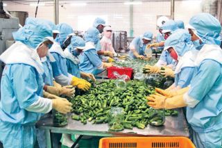 Bộ Công thương khuyến nghị hoạt động xuất khẩu hàng nông sản, thủy sản sang Trung Quốc