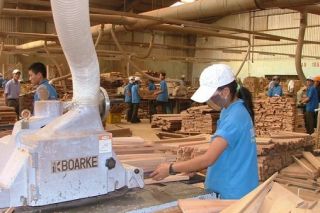 Doanh nghiệp "đau đầu" về giấy chứng nhận xuất xứ hàng hóa C/O