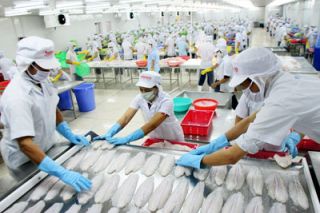 EVFTA có hiệu lực: Nhiều mặt hàng xuất khẩu tăng ấn tượng