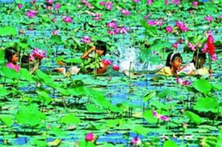 Đồng Tháp: Sẽ có một “Làng tre Việt Nam” tại Khu Du lịch Sinh thái Gáo Giồng
