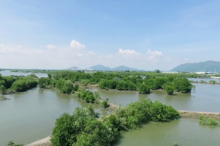 Cộng đồng mạng quyết tâm ‘phủ xanh’ mạng xã hội và câu chuyện dễ thương