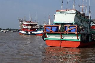 Cà Mau: Quản lý dữ liệu tàu cá từ phần mềm Vnfishbase