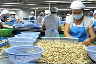 Tăng tính cạnh tranh của hàng hóa Việt Nam trong Hiệp định Đối tác Kinh tế toàn diện khu vực (RCEP)