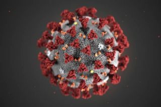 Ninh Bình: Khẳng định chưa có trường hợp nhiễm virus Corona nào trên địa bàn