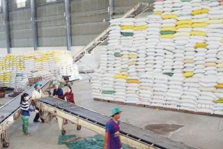 Tháng đầu năm 2021: Xuất khẩu gạo sụt giảm về cả sản lượng và kim ngạch