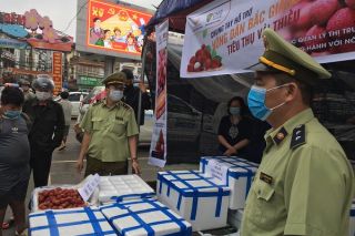 Cục Quản lý thị trường tỉnh Lào Cai triển khai các giải pháp hỗ trợ tiêu thụ vải thiều Bắc Giang