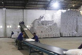 Năm 2021, đấu giá hạn ngạch thuế quan nhập khẩu 108.000 tấn đường