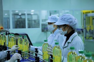 Doanh thu quý II/2021 của Tập đoàn Dabaco Việt Nam đạt 3.812 tỷ đồng