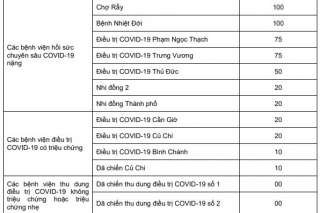 TP.HCM: Kế hoạch điều trị với kịch bản 500 trường hợp COVID-19 nặng