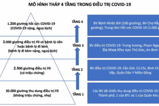 TP.HCM: Sớm đưa vào hoạt động Trung tâm Hồi sức COVID-19 quy mô 1.000 giường