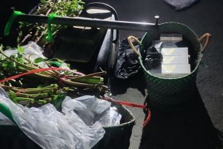 An Giang: Thu giữ gần 1.000 bao thuốc lá lậu