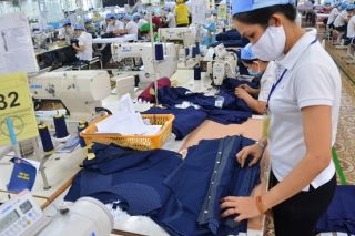 Hoạt động phát triển tài sản trí tuệ chú trọng đưa vào ứng dụng trong sản xuất