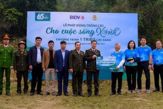 BIDV khởi động chương trình trồng “1 triệu cây xanh”