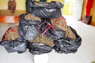 Biên phòng An Giang phát hiện 02 vụ vận chuyển 40 kg thảo mộc khô nghi cần sa