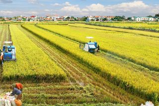 Ngành nông nghiệp Thủ đô đã đạt được nhiều kết quả tích cực trong năm 2021