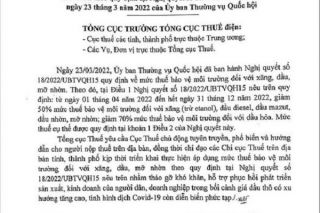 Lũy kế 03 tháng Hải Phòng đã thu nộp vào ngân sách đạt 30% dự toán