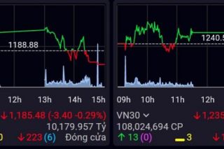 Thị trường chứng khoán tiếp tục giao dịch khá thận trọng