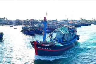 Giá xăng dầu liên tiếp giảm mạnh, ngư dân phấn khởi ra khơi
